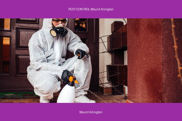 PEST CONTROL Mount Arlington
